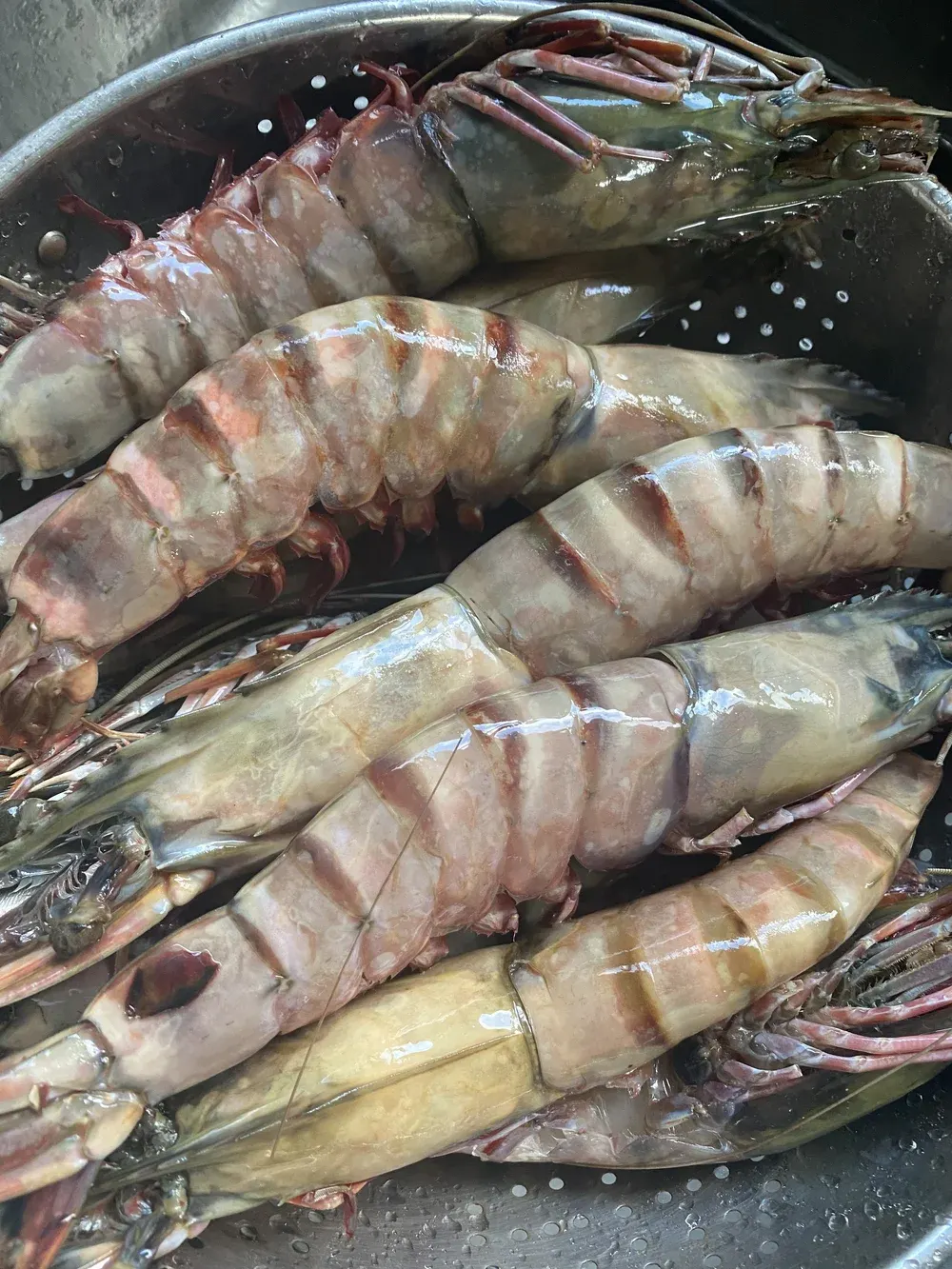 Giant shrimp in a colander